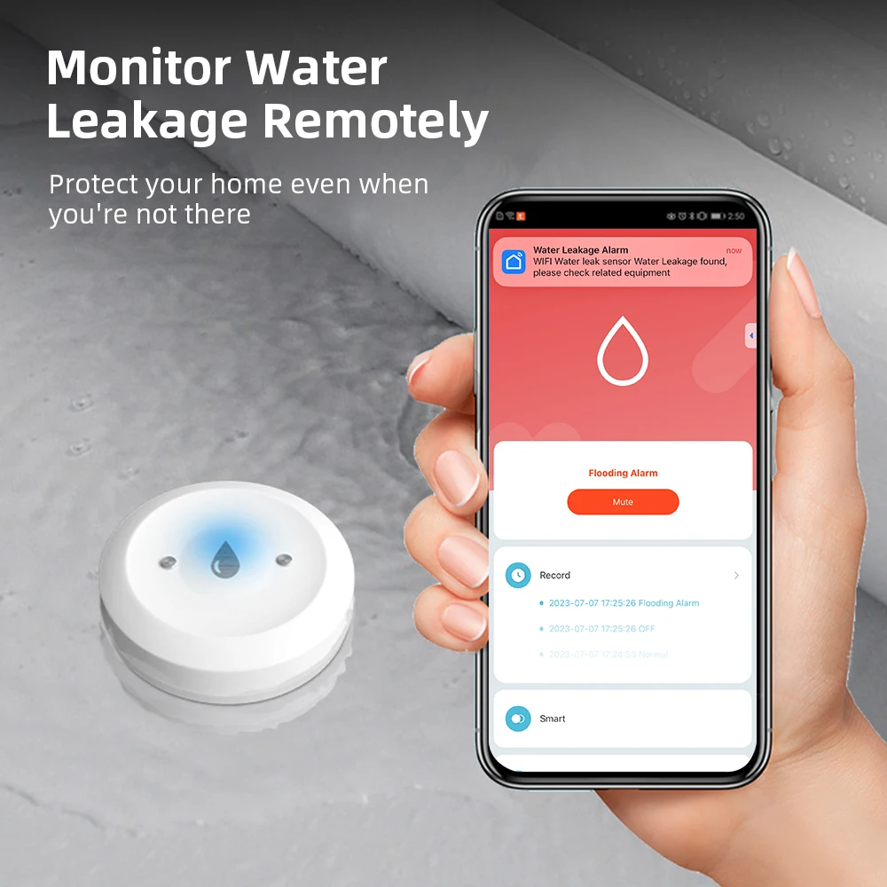 Smart Home Setup - Датчик протечки воды Zigbee для умных